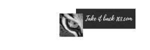 My Brand logo for my website Take it Back 101.com