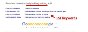 For Keyword Research - What Does Low Hanging Fruit mean screenshot for LSI Keywords
