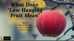 What Does Low Hanging Fruit Mean branded with new logo Feature Image for Article