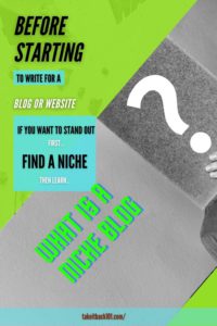 What is a Niche Blog - Pinterest pin 